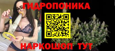 дурь Камышлов