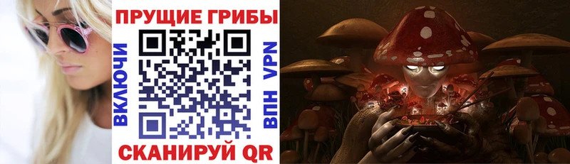 Галлюциногенные грибы Magic Shrooms  где можно купить наркотик  Миасс 