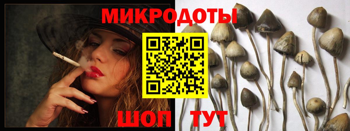 Миасс  Галлюциногенные грибы MAGIC MUSHROOMS  Галлюциногенные грибы Magic Shrooms  Вход с VPN 